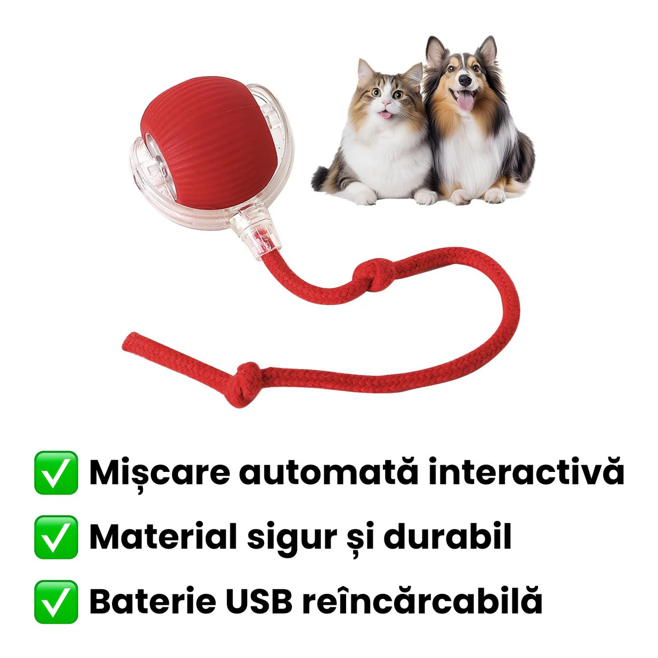 Jucarie Automata Pentru Animalute