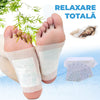 Plasturi Kinoki Detox 30+50 GRATIS!