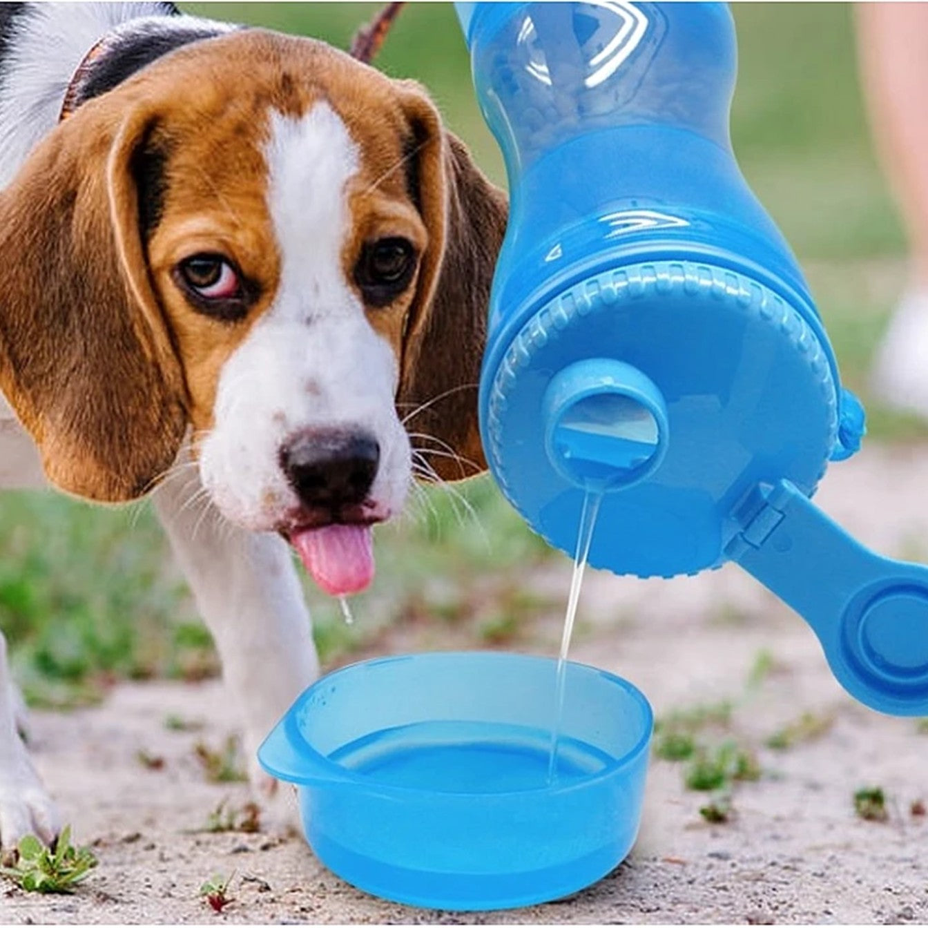 Sticla 3 in 1 Pentru Animale