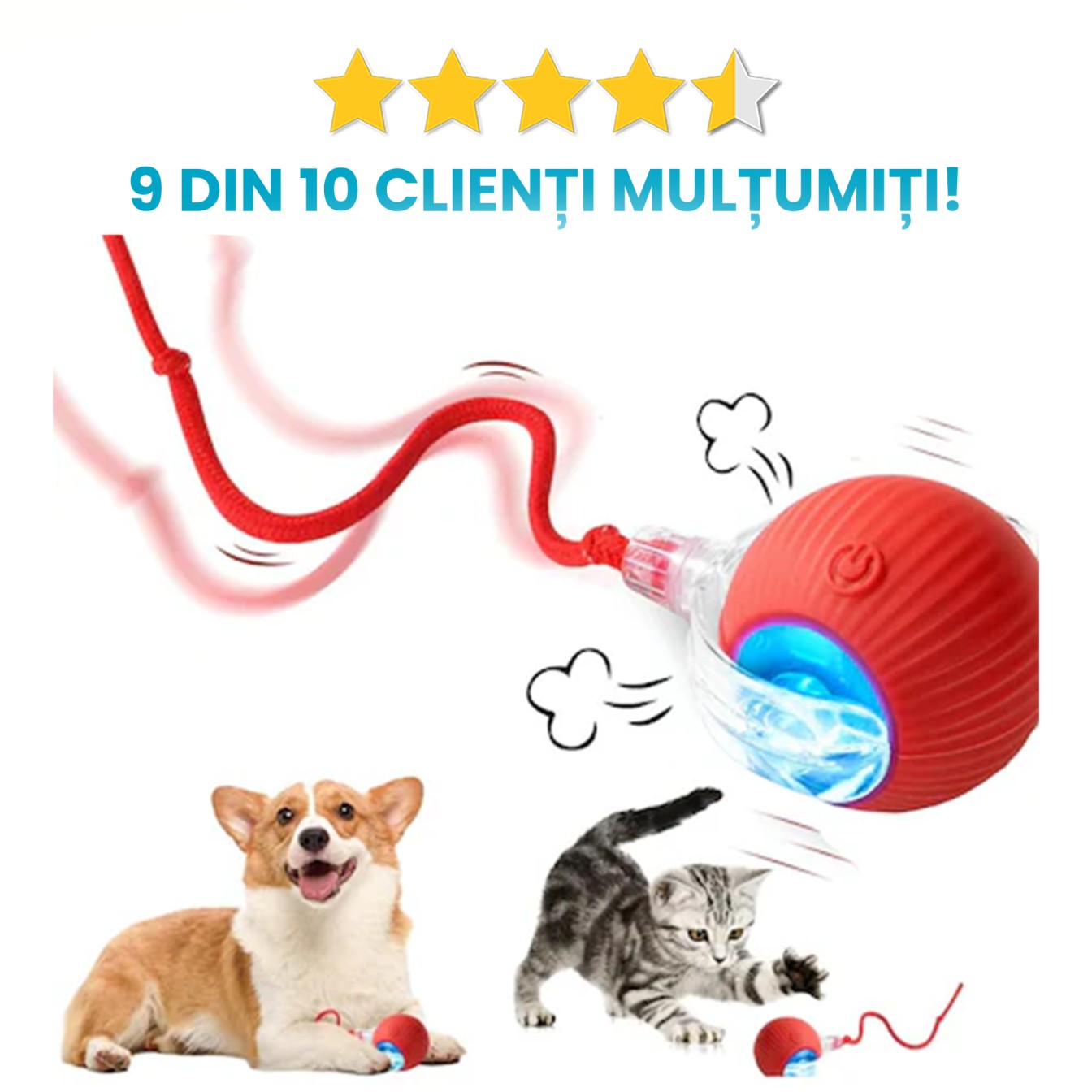 Jucarie Automata Pentru Animalute