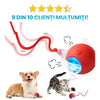 Jucarie Automata Pentru Animalute